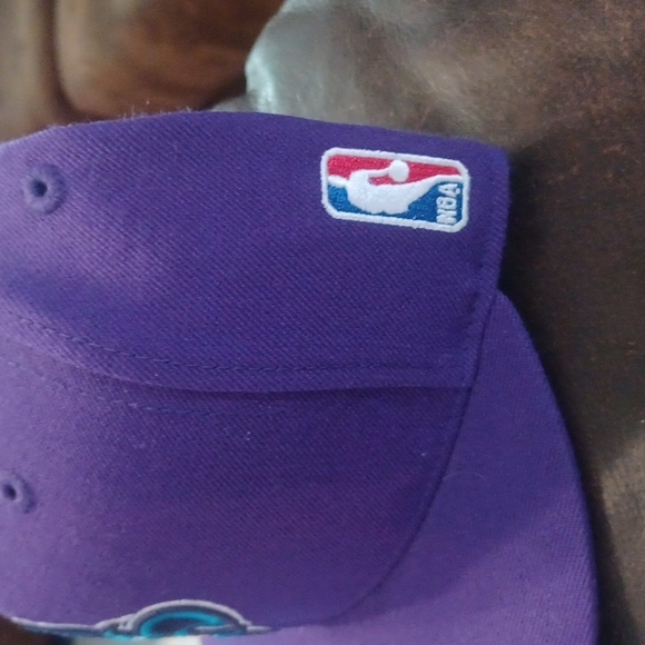 Hornets - Picture 3 of 6